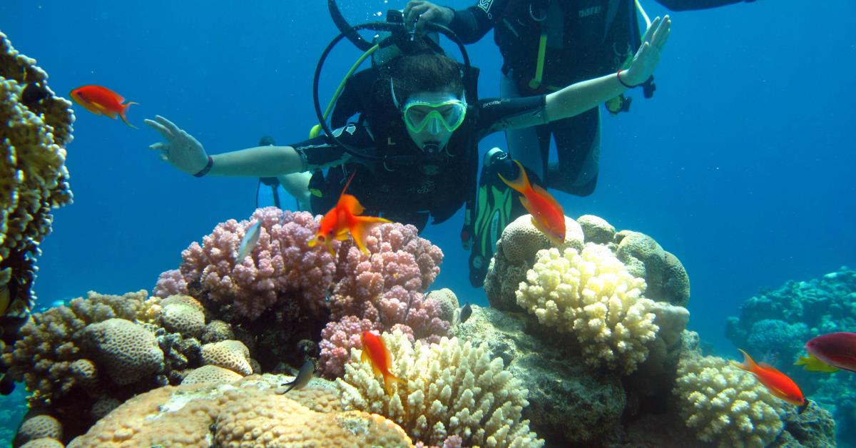 צוללים בסיני