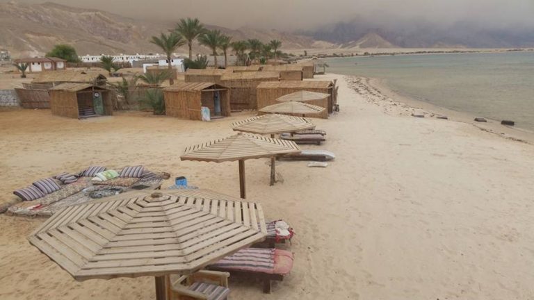 פרדייז סוויר