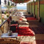 davia camp