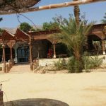 Elbadawy